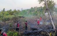 Jumlah titik panas di Kalimantan meningkat lebih 50 peratus