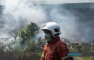 Jerebu: Lima stesen di Sabah catat IPU tidak sihat