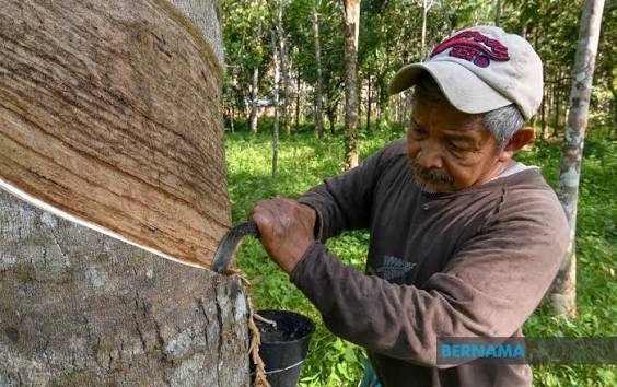 PM bangkit isu pekebun kecil, beberapa perkara dibincang dalam Kabinet esok