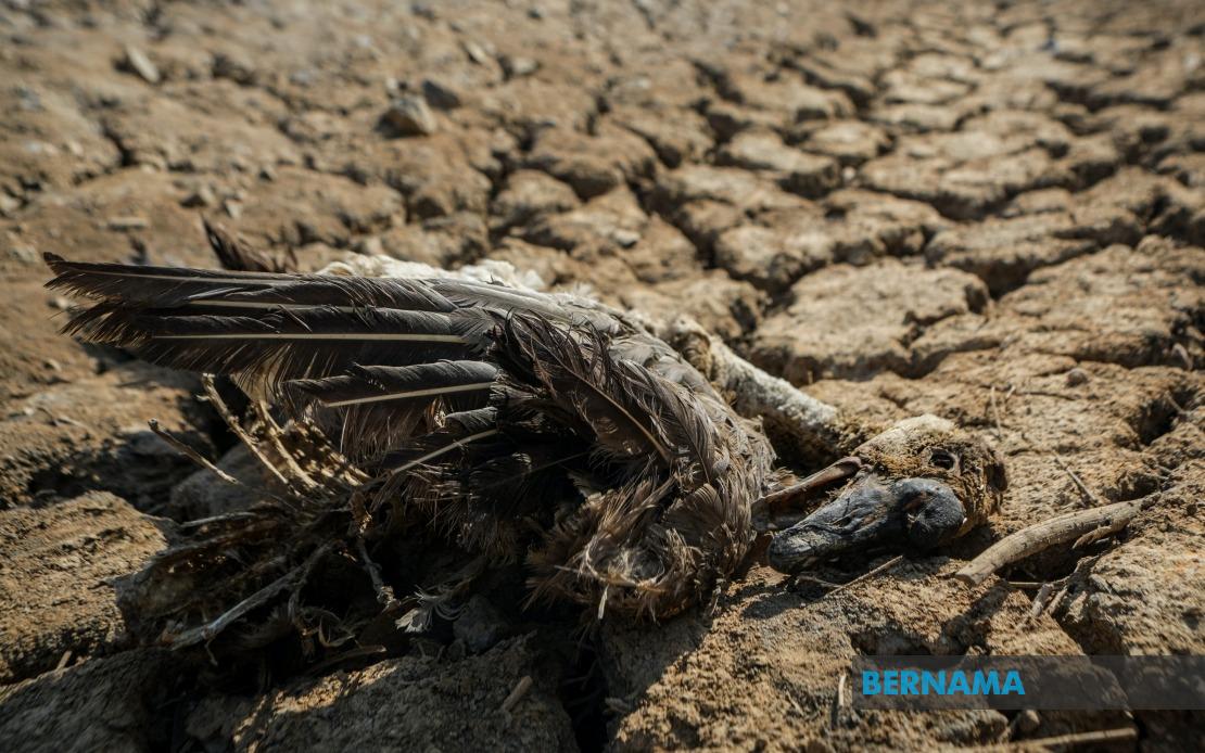 California isytihar darurat bagi persiapan hadapi musim El Nino