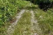 KPK luluskan RM3.9 juta untuk 14 projek Jalan Ladang Pekebun Kecil di pedalaman Sabah