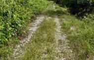 KPK luluskan RM3.9 juta untuk 14 projek Jalan Ladang Pekebun Kecil di pedalaman Sabah