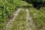 KPK luluskan RM3.9 juta untuk 14 projek Jalan Ladang Pekebun Kecil di pedalaman Sabah